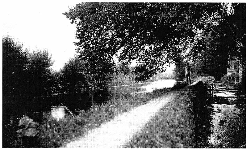 river at milston.jpg